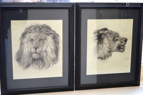 Ethel Gomm 1895: 2 mixed media Drawings of Lions