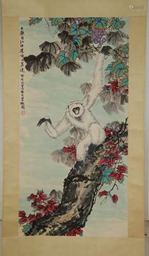 Chinese Monkey Color Scroll Painting