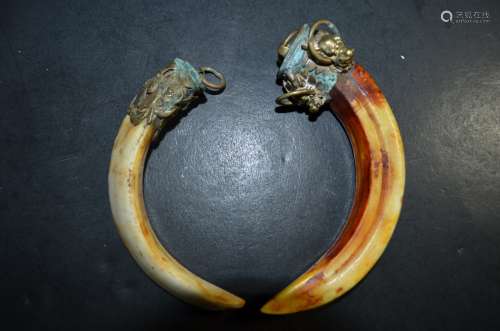 2 Pieces of Boar Teeth