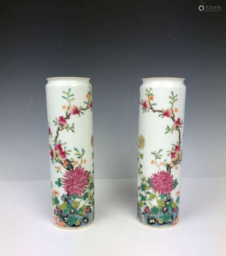 Pair of Famille Rose Porcelain Vase with Mark