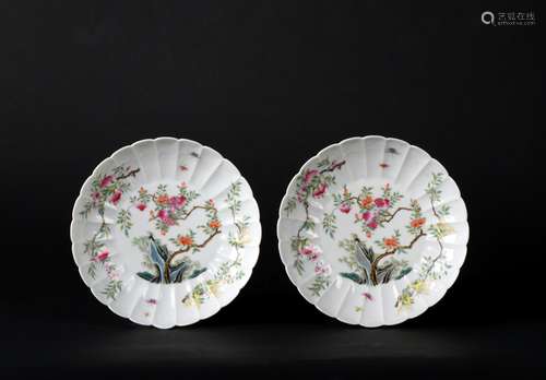 A Pair Of Famille Rose Chrysanthemum Dishes