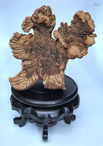 A NATURAL AGRAWOOD CHRYSANTHEMUM SHAPE CARVING