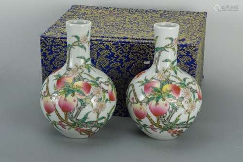 Late Qing Dynasty A Pair of Bottles of Nine Peach