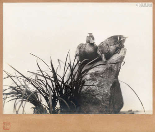 郎静山（1892～1995） 摄影《寒鸦》 镜框