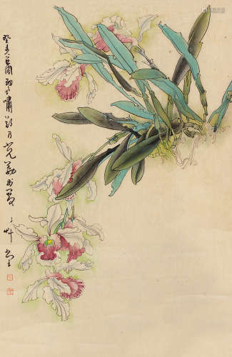 郑乃珖 花卉 立轴 设色纸本