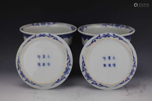 A pair of Blue and White porcelain flower pots with