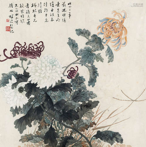 沈仲强 菊花 镜框 设色纸本