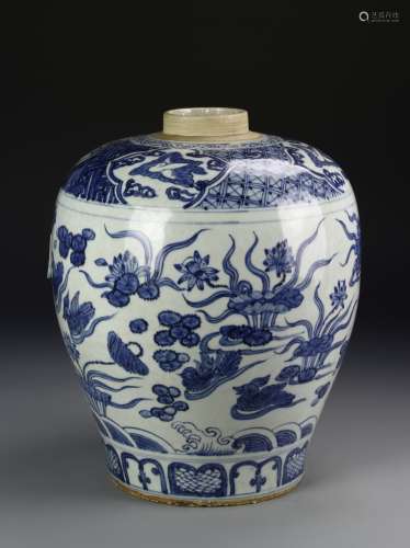 Chinese Blue And White Meiping Vase