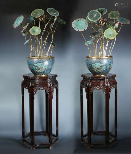 Very Rare Pair of Cloisonne and Gilt Lotus in Planters