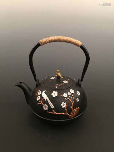 Brand New Chinese Iron Teapot