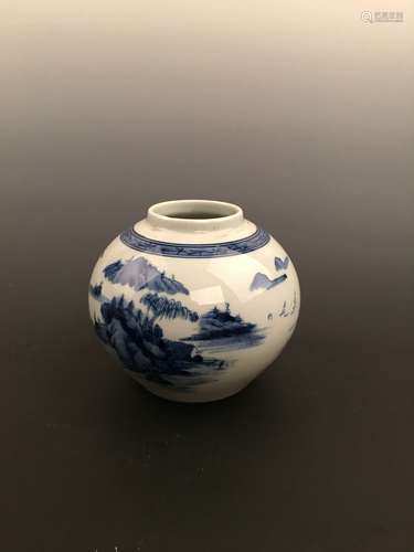 Chinese Blue and Whit Porcelain Jar