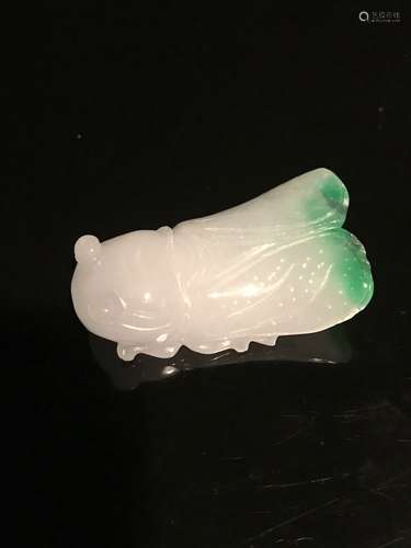 Green and White Jadeite Cicada