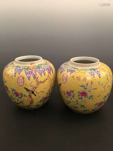 A Pair Qing Famille Rose Porcelain Jar