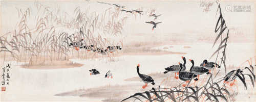 吴青霞（1910～2008） 1978年作 芦鸭 镜框 设色纸本