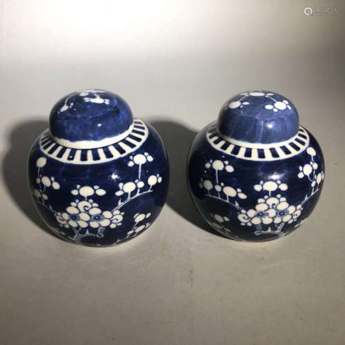 A Pair of Blue and White Jars