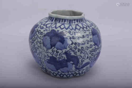 A Chinese Blue and White Porcelain Jar