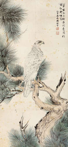屈兆麟（1866-1937） 1921年 作 白鹰 设色纸本 立轴