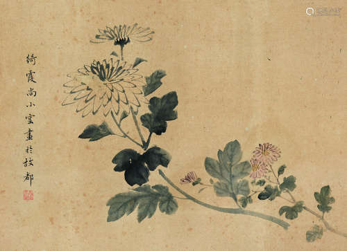 尚小云（1900～1976） 花卉 立轴 设色纸本