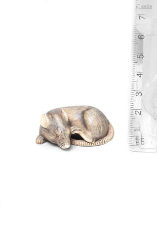 By Shoun, Edo period (1615-1868), late 19th century An ivory netsuke of a rat