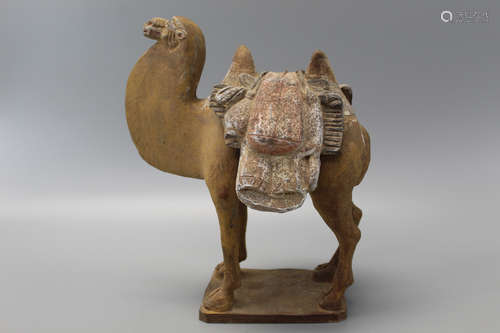 Chinese Sancai pottery camel, Tang Dynasty.