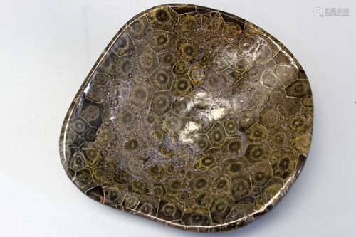 Shallow Bowl Carved from Ancient Fossilized Coral.