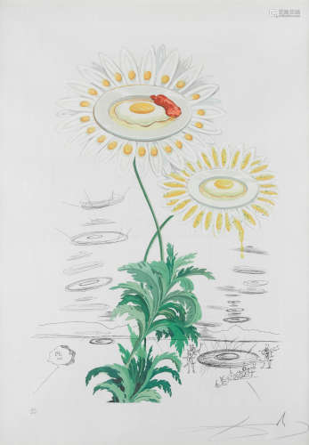Chrysanthemum Frutescens (Marguerite) (from Flora Dalinae) Salvador Dalí(1904-1989)