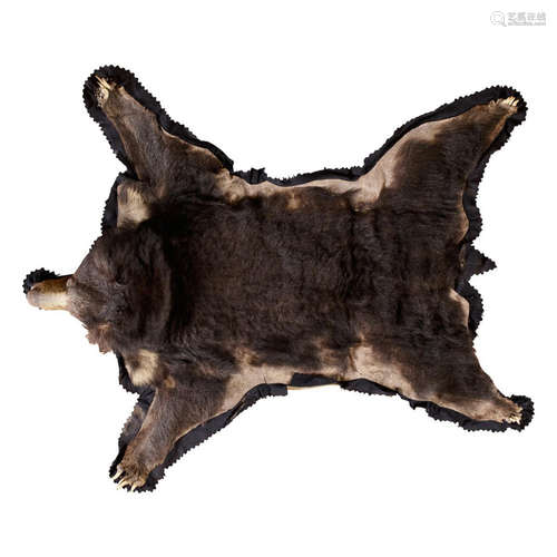 By Van Ingen and Van Ingen of Mysore  A Sloth bear rug