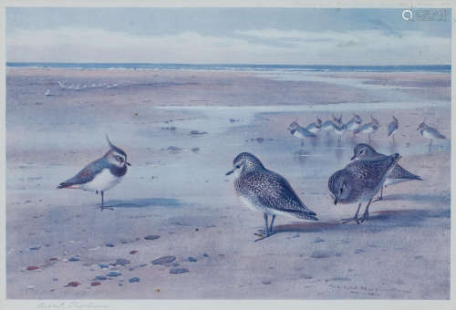 A group of four prints  After Archibald Thorburn(British, 1860-1935)