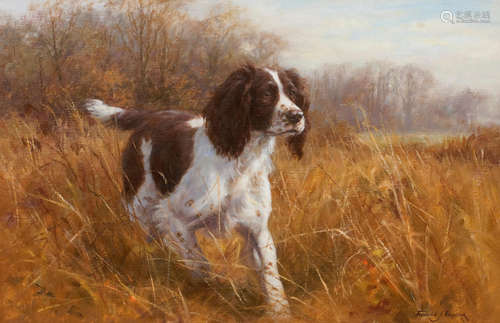 A pair of Springer Spaniel portraits   each: 38 x 59.5cm (14 15/16 x 23 7/16in). Frederick J. Haycock(British, born 1948)