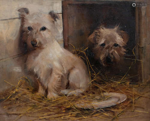 Terriers in a barn Samuel Fulton(British, 1855-1941)