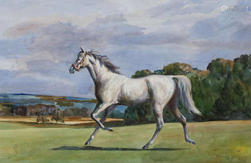 Portrait of a grey horse  Charles Walter Simpson, R.I., R.O.I.(British, 1885-1971)