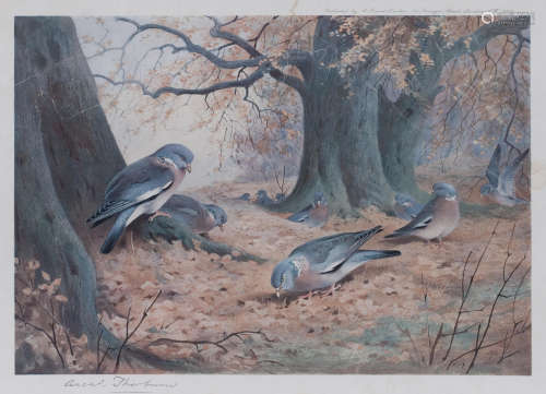 A group of five prints of British birds each: 19 x 28cm (7 1/2 x 11in). After Archibald Thorburn(British, 1860-1935)