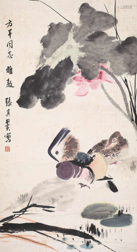 张其翼（1915-1968） 荷花鸳鸯 纸本设色 立轴