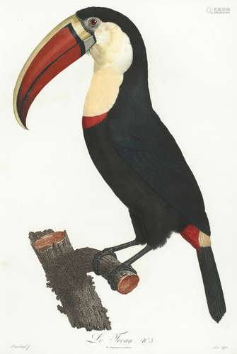 Histoire naturelle des oiseaux de paradis et des rolliers, suivie de celle des toucans et des barbus, 2 vol., Paris, Denné le jeune, and Perlet, [1801]-1806 LEVAILLANT (FRANÇOIS)