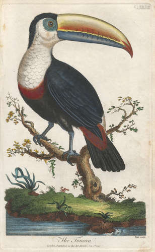 An Universal System of Natural History, 4-7 only [Birds], for the Proprietor, sold by Champante & Whitrow, [c.1796], sold as a periodical SIBLEY (EBENEZER)