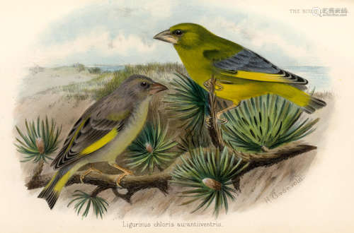 The Birds of Tunisia Being a History of the Birds Found in the Regency of Tunis, 2 vol., 72 OF 250 COPIES, 8vo and 4to; and 4 others, ornithology of Africa (10) WHITAKER (JOSEPH I.S.)