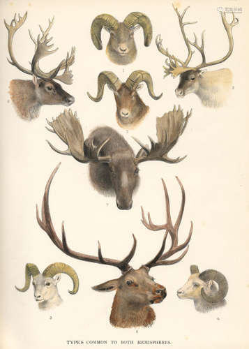 The Deer of All Lands. A History of the Family of Cervidae Living and Extinct, NUMBER 396 OF 500 COPIES SIGNED BY THE AUTHOR, Rowland Ward, 1898 LYDEKKER (ROWLAND)