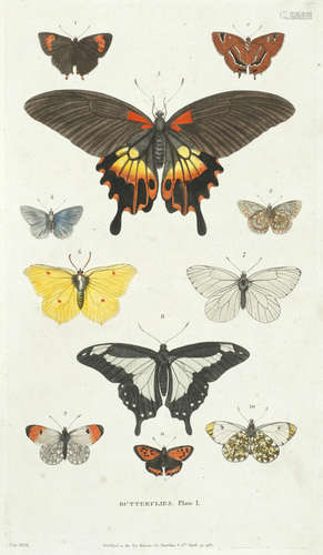 A New Dictionary of Natural History; or Compleat Universal Display of Animated Nature, 2 vol., Harrison, 1785 MARTYN (WILLIAM FREDERICK)