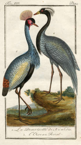 Histoire naturelle générale et particuliere, 49 vol. (of 54), comprising; Oiseaux, vol. 1-14, and 16-18; Quadrupèdes, vol. 1-12 and 14; Minéraux, vol. 1-9, [Paris], Sanson & Compagnie, 1785-1791, sold as a periodical BUFFON (GEORGES LOUIS LECLERC, COMTE DE)
