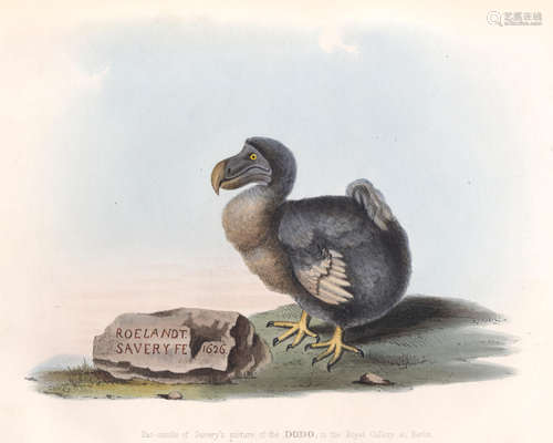 The Dodo and its Kindred; or the History, Affinities, and Osteology of the Dodo, Solitaire, and Other Extinct Birds of the Islands of Mauritius, Rodriguez, and Bourbon, FIRST EDITION STRICKLAND (HUGH EDWIN) AND ALEXANDER GORDON MELVILLE