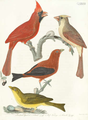 American Ornithology; or, the Natural History of the Birds of the United States, 9 vol. bound in 3, FIRST EDITION, Philadelphia, Bradford and Inskeep, Printed by Robert Carr[-William Carr], 1808-1814 WILSON (ALEXANDER)