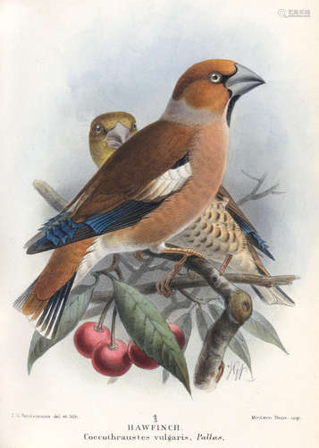 Coloured Illustrations of British Birds and Their Eggs, 7 vol., R.H. Porter, 1891-1897 LILFORD (THOMAS L. POWYS, FOURTH BARON)