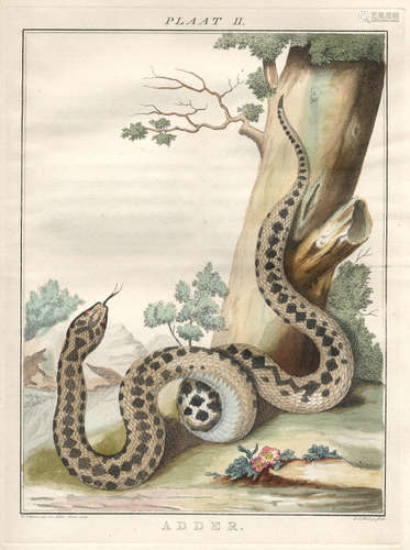 Verhandeling over de Slangen en Adders die in het Landschap Drenthe gevonden worden, 12mo, Nuremburg, 1828; and 17 others, mostly twentieth century, relating to reptiles and amphibians (22) LIER (JOHANNES VAN)