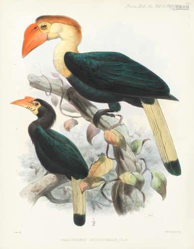 The Ornithological Works, bound in 2 vol., EXTRA-ILLUSTRATED COPY, For Private Circulation, by Taylor and Francis, 1881; and 2 others, including volume 19 of Transactions of the Zoological Society of London (1909-10), and a paper by Tweeddale, illustrated with 5 hand-coloured lithographed plates, on the Genus Batrachostomus (4) TWEEDDALE (ARTHUR HAY, MARQUIS OF)