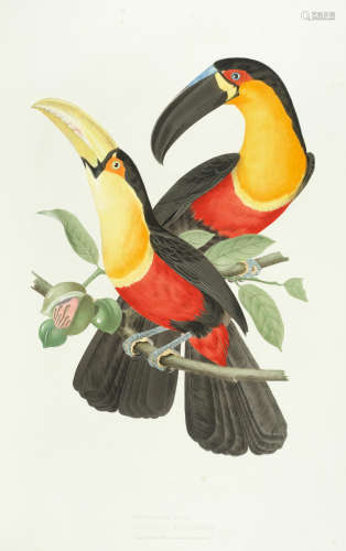 Ornithologie Brésilienne, ou histoire des oiseaux du Brésil, remarquables par leur plumage, leur chant our leurs habitudes, FIRST EDITION, Rio de Janeiro, Thomas Reeves, [?1852-56] DESCOURTILZ (JEAN-THEODORE)