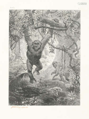 The Life and Habits of Wild Animals Illustrated by Designs by Joseph Wolf Engraved by J.W. & Edward Whymper, SIGNED BY ELLIOT, 8vo and small 4to; and 36 others, miscellaneous zoology (56) WOLF (JOSEPH) AND DANIEL GIRAUD ELLIOT