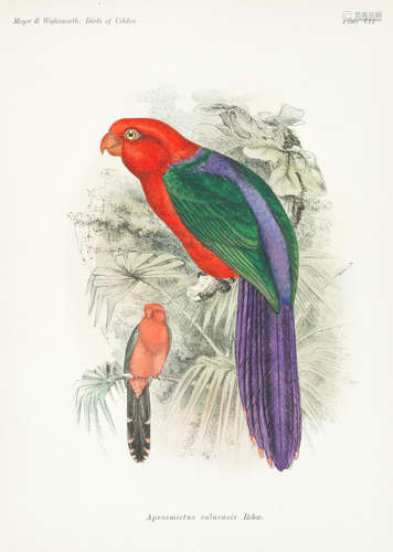 The Birds of Celebes and the Neighbouring Islands, 2 vol., FIRST EDITION, AUTHOR'S PRESENTATION COPY, Berlin, R. Friedlander, 1898 MEYER (ADOLF BERNHARD) AND L.W. WIGLESWORTH