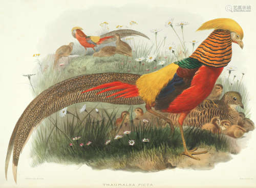 A Monograph of the Phasianidae or Family of the Pheasants, 2 vol., FIRST EDITION, New York, the Author, [1870-]1872 ELLIOT (DANIEL GIRAUD)