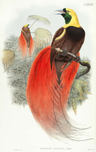 Monograph of the Paradiseidae, or Birds of Paradise, and Ptilonorhynchidae, or Bower-Birds, 2 vol., Henry Sotheran, 1891-1898 SHARPE (RICHARD BOWDLER)