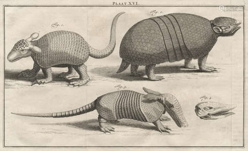 Natuurlyke Historie of uitvoerige Beschrijving der Dieren, Planten en Mineralen, 3 parts in 37 vol., Amsterdam, F. Houttuyn-[Erven van F. Houttuyn, J. van der Burgh en Zoon], 1761-1785 LINNAEUS (CARL)